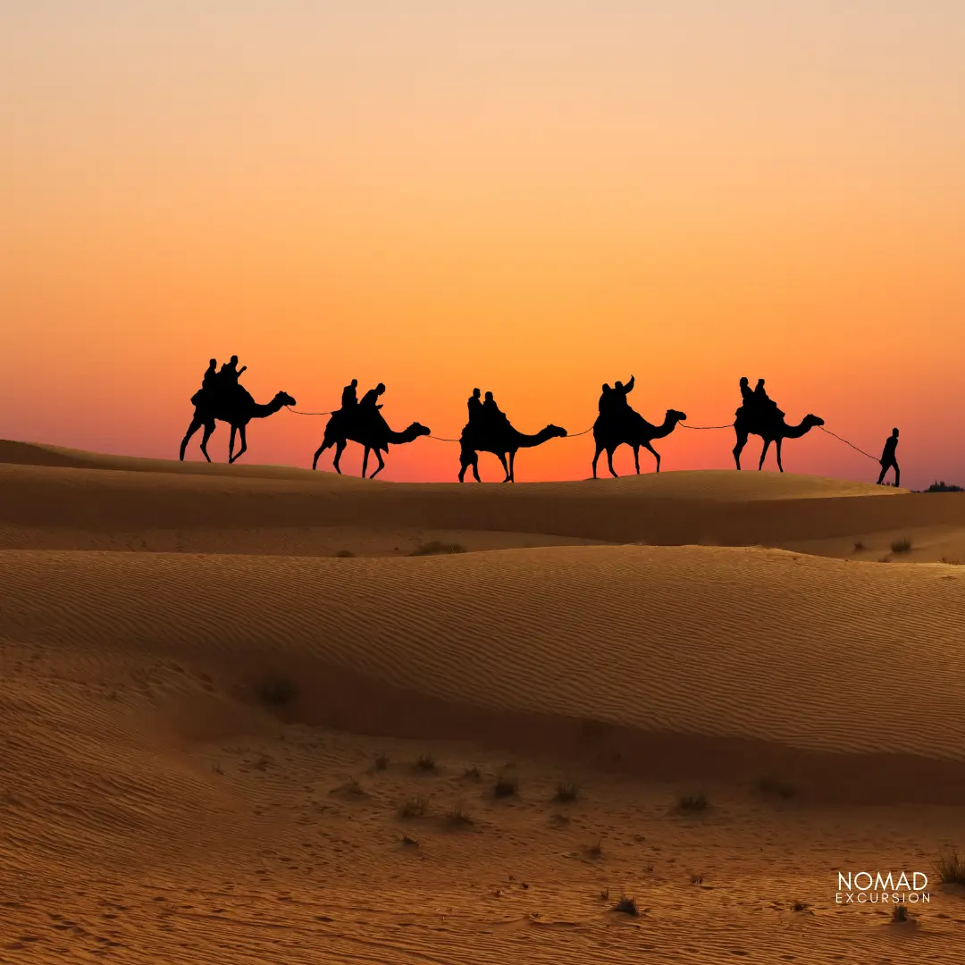 Camel Trek at Sunset