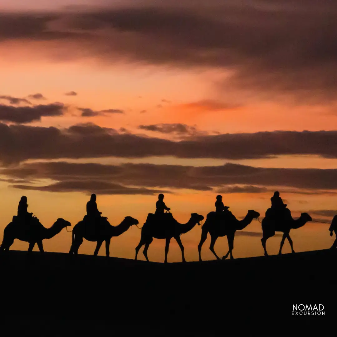 Zagora Desert Camel Trek