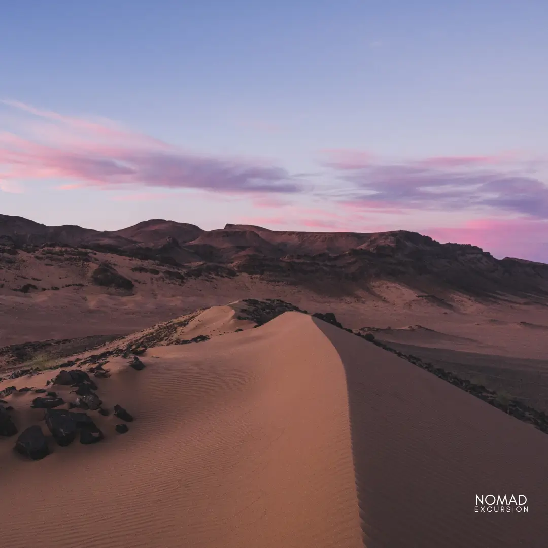 Zagora Desert Tours